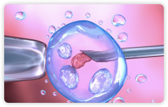 试管次数有限制?别慌，这才是真相!