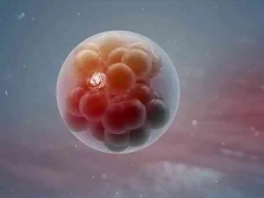 试管移植第10天甲状腺激素上升了？原因、作用及注意要点全解析