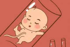 如何确保试管都聪明？影响试管的三大因素