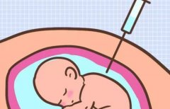 试管移植后需要适当活动，试管移植后的注意事项和饮食调理