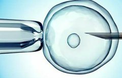 试管胚胎移植后头疼与好孕之间的关联，胚胎移植后头疼的发生率和好