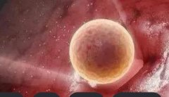 冻胚移植后雌二醇低的原因,提高冻胚移植后雌二醇低成功率的方法