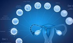 日本试管的详细流程，赴日前还需要注意签证等问题