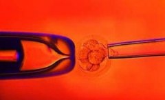 重庆试管的五大费用结构介绍，充分了解做出明智的决定