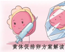 什么是试管黄体期促排方案？附方案优点及缺点