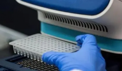 人工授精VS试管：辅助生殖手段大比拼