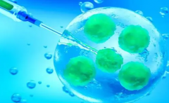 揭秘试管自然周期移植步骤：轻松迎接新生命！