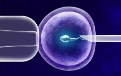 贵州试管报销政策全面覆盖倒计时：何时迎来全民福利？