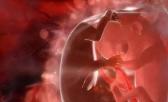 试管促排黄体期如何轻松度过月经？四个方法来帮您