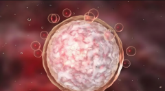 卵泡发育不好可以做试管吗？试管能否实现生育梦想！