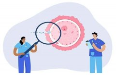 绝经后可以借卵试管吗会怀孕吗