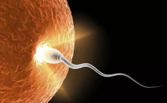 2024重庆大坪医院试管费用大揭秘：造娃全程要花多少钱？费用明细全知