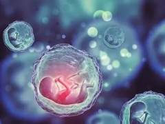 试管路上为啥要吃避孕药？三大好处帮你轻松理解！