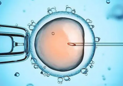 试管打生长激素会出血吗？揭秘可能引发出血的原因！