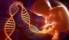 试管方案为何要等？揭秘何时能开始及具体情况！