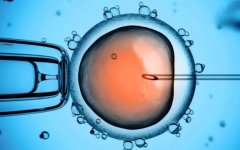 试管移植后如何正确地弯腰捡东西？对胚胎有什么负面影响？