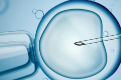 血沉高对试管移植效果的影响，血沉高的风险因素