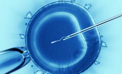 导致试管移植后不能吃西瓜的三大原因，为什么说吃西瓜影响胚胎着床