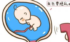 试管移植前燕窝的正确选择和服用方法，哪些人不适合食用燕窝？