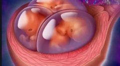 收藏！女职工哺乳假6个半月全休的条件，休请假申请书的写法