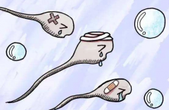 试管中测卵泡究竟有多重要？三个最佳时间全面详析