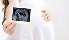 试管微刺激方案全流程大揭秘：深度剖析取卵质量、促排时间及费用！