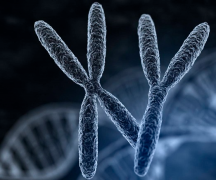生'男'孩不再是梦！XY精子分离术，成功率有多高？