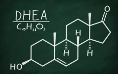 试管路上，DHEA的三大助力神器，你了解吗？