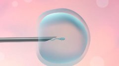 成都私立医院：无结婚证能否进行试管治疗？规定详解