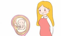 如何应对抗精子抗体阳性？提高试管婴儿成功率的应对措施