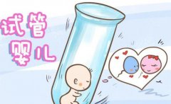 试管移植13天后怀孕应该注意的饮食原则，注意少吃李子