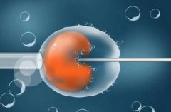 马来西亚试管的最新政策及后续事项