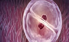 平凉当地是否可以做试管的政策规定，其他解决不孕问题的方式