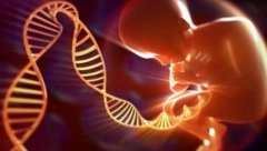 没结婚证不能做试管吗？正确对待试管技术的方式