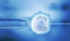 境外试管的法律规定，国外与国内试管的对比