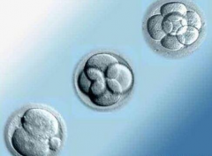 试管移植总是失败，不妨试试激光辅助孵化！