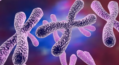 试管失败染色体无异常？专家解析五大被忽视的原因