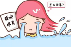 什么是试管胎停。应该如何预防？