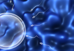 怎样做试管能一次成功？试管成功的全面指南！