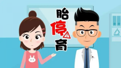 试管移植后为什么胎停？两大问题影响胚胎发育！