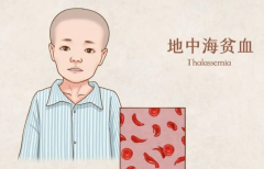 地中海贫血能做试管吗？三代试管可避免遗传！
