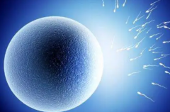 日本试管门槛再升：单身女性需知的风险、费用与应对策略