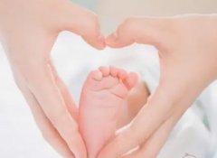 回国上户口全攻略：单身试管家庭的必备知识！