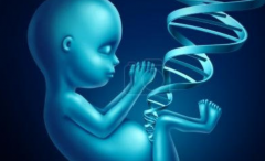 试管龙凤胎新趋势：广州医院费用揭秘，性价比高不高？