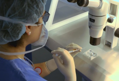 试管周期必读：降调针注射时间窗口详解，晚一天可能影响的那些事儿