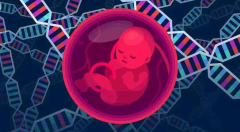 失独家庭想再育，试管前这四大条件不能忘！