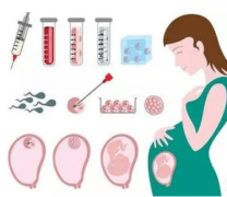 试管取卵手术费用：卵子数量不决定后续账单，一次说清楚！