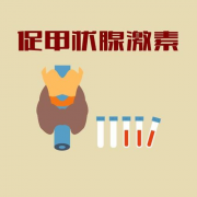 促甲状腺激素高了，女性还能做试管吗？听听成功怀孕的经验分享！