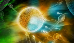 常德妇幼保健院试管费用全透明！每项开销都明明白白，一目了然！