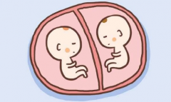 试管家庭必读：单卵双胎的早产与畸形风险防控策略